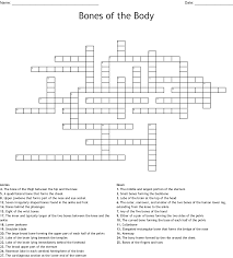 Anatomic parts of the bone. Bones Of The Body Crossword Wordmint