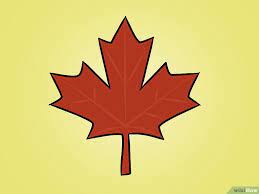 Then i drew in the serrated edge with sharp points for each leaf point. How To Draw A Maple Leaf 12 Steps With Pictures Maple Leaf Drawing Leaf Drawing Drawings