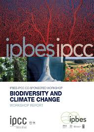 It's time to look forward and make changes. Climate Reports United Nations