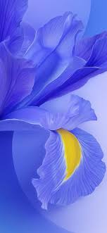 Xiaomi png you can download 57 free xiaomi png images. Xiaomi Mi 9 Stock Wallpapers Hd