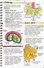 Pin Di Cooking