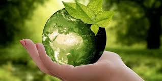 World environment day is celebrated on 5th june 2021. World Environment Day 2021 Theme Host Country Celebrations And Speech Of World Environment Day
