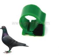 125KHz/ 134.2KHz Pigeon Foot Rings RFID Bird Band | Goodwin