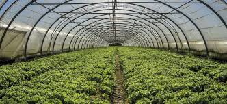 Una entidad criticó una norma del banco central que impide financiarse con tasas diferenciadas a la agricultura. Chemical Products And Masterbatch For Agricultural Use Repsol