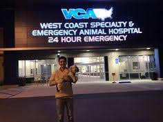 Find affordable care for your pets today. 240 Building A Vet Practice Exterior Ideas Exterior Building Vets