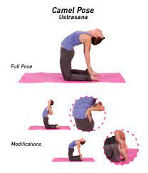 Learn here how to do ustrasana. How To Do Camel Pose In Yoga Yogaoutlet Com