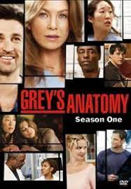 Je veux regarder une série tv, pas un semblant de jt moralisateur. Grey S Anatomy Saison 1 Episode 1 Vostfr
