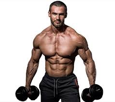 Befürworter einer diät ohne kohlenhydrate heben dabei vor allem die guten erfolge beim abnehmen hervor. Bodybuilding Tipps Fur Einsteiger Und Fortgeschrittene