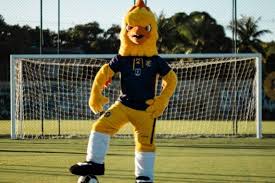 Match cuiaba vs coritiba fc results and live score on footlive.com. Retro Apresenta Mascote Oficial Do Time E Faz Campanha Para Escolher Nome Do Personagem Superesportes