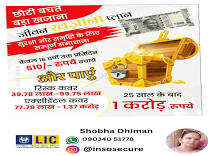Endowment Plans (Savings + Insurance) product image