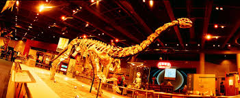 2021 / 07 / 28 星期三. é¦™æ¸¯ç§'å­¸é¤¨ Hong Kong Science Museum Lomography