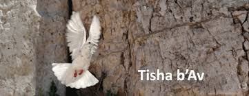 In the kinos, the liturgy that is recited for hours on tisha b'av morning, we refer to the many travails that jews have suffered throughout history — the crusades, the expulsion from spain, the chmielnicki massacres, and. Temple Beth Am Community Tisha B Av Service