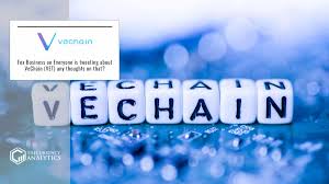 I think we need congressional authority, rettig said during a hearing before the senate finance committee. Fox Business On Everyone Is Tweeting About Vechain Vet Any Thoughts On That