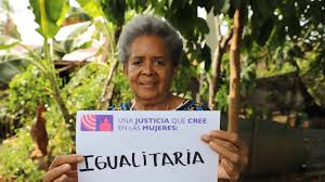 Image result for Justicia francoiseana