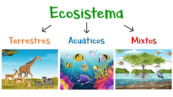 ? ¿Qué son los Ecosistemas? ? Tipos de Ecosistemas ? [Fácil y Rápido]