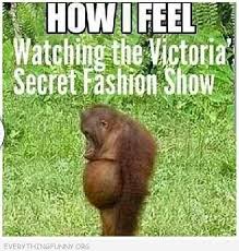 Funny Funny Captions Funny Humor