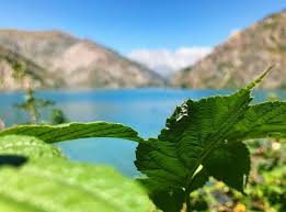 Разнообразна и богата природа киргизии. Sary Chelek Natural Landmarks Nature Landmarks