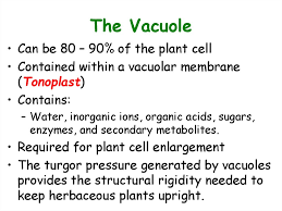 Another similarity is that most cell walls provide rigidity and strength that help the cells maintain their shape. Plant Cells Overview Of Plant Structure Online Presentation