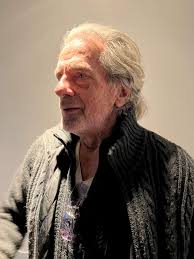 Sarasani was allesbepalend en allesomvattend.' Lof voor film over  legendarische beatschuur en festival op Texel