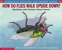 Learn interesting facts and trivia about this creature with the amazing hiriola quizzes online. How Do Flies Walk Upside Down Questions And Answers About Insects Question And Answer Berger Melvin Berger Gilda Effler James M 9780590130820 Amazon Com Books