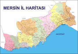 mersin hakkında bilgi ile ilgili görsel sonucu