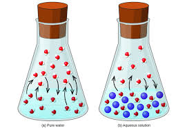 Solved Colligative Properties Are Dependent On The Total | Chegg.Com