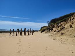 Riley, shy, but sweet in her own way. Reisetipp Urlaub Auf Der Ile D Oleron Stefi S Welt