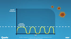 Darum Ist Die Corona Pandemie Nicht In Wenigen Wochen Vorbei Quarks De