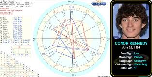 pin by astroconnects on famous leos birth chart gemini