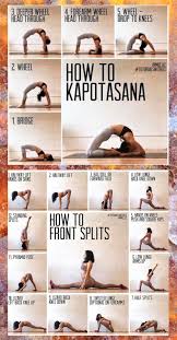 Yoga Dog Power Yoga Workout Flexibility Workout Dancer Workout