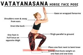 From mountain pose (tadasana), one foot is placed atop the opposite thigh as in half lotus pose (ardha padmasana). Vatayanasana Horse Face Pose Steps Benefits More Fitsri