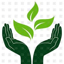 plant icon vector 341242 free icons library plant icon vector 341242 free icons
