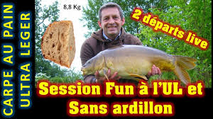 Peche Carpe Au Pain En Surface En Ultra Leger Ul Carpe Miroir De 8 8 Kg Et Une Petite Commune Youtube