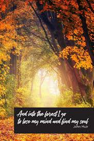 Discovery crew's ultimate asset, the ship itself, in an effort to end the war with the klingons once and for all. And Into The Forest I Go To Lose My Mind And Find My Soul Blank Lined Journal With Quote By John Muir Great Gift For Nature Lovers And Hikers Wood Graphics