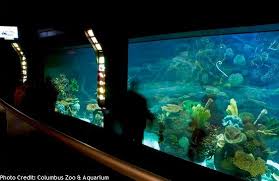 Discovery Reef At Columbus Zoo Aquarium Columbus Zoo Aquarium Zoo