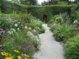 Plants for a sunny border grow best with a minimum of 10 to 12 hours a day of direct sun in midsummer. Top 10 Hardworking Plants For Herbaceous Borders Jardin
