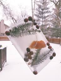 Winter Craft Science Nature Art With Ice Edventures With Kids