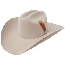 Stetson Rambler 6x Fur Cowboy Hat 246 98 You Could Ramble All Day About This Stetson Classic The Rambler Cowboy Hat Styles Cowboy Hats Cowboy Outfits