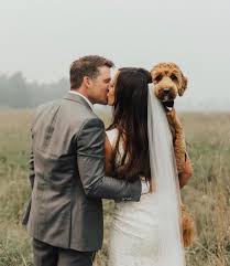 Adorable Wedding Photo Laudae Bride Wedding Photo Inspiration Mountain Bride California Wedding