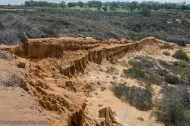 Broken hill (san diego) broken hill. Torrey Pines State Natural Reserve Hiking San Diego County