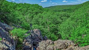 Saint Francois Mountains