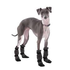 Pages in category italian greyhound. Italian Greyhound Dog Booties Winter Boots For Dogs Dog Etsy