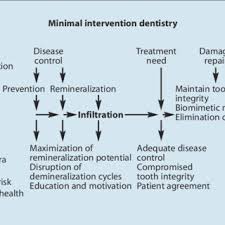 What kind of stress do you think that puts on young dentists and what are the implications in the industry. Pdf Closing The Gap Between Oral Hygiene And Minimally Invasive Dentistry A Review On The Resin Infiltration Technique Of Incipient Proximal Enamel Lesions