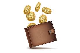 $2.94 free shipping on your first order. Bitcoin Wallet Vector Money Brown Bitcoin Symbol Crypto Currency Golden Coin Top View Financial Concept Isolated On White Background Illustration By Pikepicture Thehungryjpeg Com