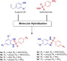 Is nhcoch3 activating or deactivating? Phenylpropanoid Based Sulfonamide Promotes Cyclin D1 And Cyclin E Down Regulation And Induces Cell Cycle Arrest At G1 S Transition In Estrogen Positive Mcf 7 Cell Line Sciencedirect
