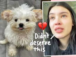 Model Annie Marie Tells Heartbreaking Story Exposing Labelle Foundation Dog  Rescue Of Alleged Animal Cruelty