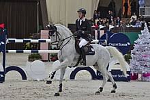 Already silver medal last year in tryon's world equestrian games, martin is adding another milestone to his young top rider career! Martin Fuchs Springreiter Wikipedia