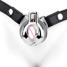 FRKO Stainless Steel Sissy Chastity Cage Labia Curve BDSM Chastity Belt  Lockcock Penis Ring Restraint Device Erotic Sex Toys For Men Femboys  Z250528 From 3,87 € | DHgate