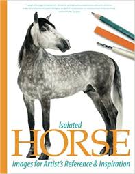 Check spelling or type a new query. Isolated Horse Images For Artist S Reference And Inspiration Tregay Sarah Amazon De Bucher