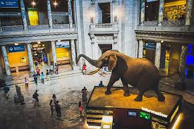 From tranquil sandy beaches to the rolling blue ridge mountains, to vast national parks and meandering scenic byways, capital region usa is the place to get away from it all. Entdecke Die Capital Region Usa Zu Allen Vier Jahreszeiten Reiseblog Aus Brandenburg Herz An Hirn